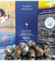 Camargue Coquillages - Bigorneaux Noisette De Camargue - Pêche Responsable