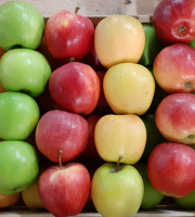 Le Châtaignier - Pommes De Variétés Incontournables -  Assortiment 6kg