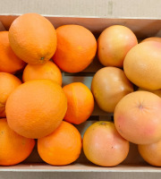 Coopérative Univert - Colis vitaminé : Orange et Pomelos Corses Bio équitable - 2,7kg