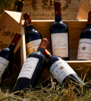 Vignobles Brunot - Coffret Bois "Vins Premium de Bordeaux" dont Saint-Emilion Grand Cru - 6x75cl