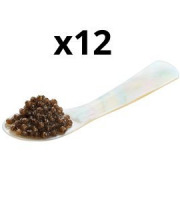 Caviar de Neuvic - Lot de 12 cuillères en nacre 5 cm