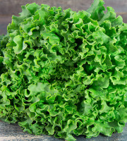 La Boite à Herbes - Lot De 2 Salade Batavia Verte Bio