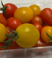 Maison du Pruneau - Cueillette du Gascon - Barquette de tomates cerises en mélange de 200gr
