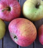 Ferme du Mont de Cuy - Pommes Mélange de variété - 1kg