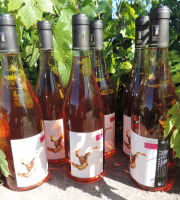 Domaine des Bourrats - Saint Pourçain AOC Rosé - 6 bouteilles