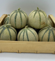 Le Panier du Producteur - Melon