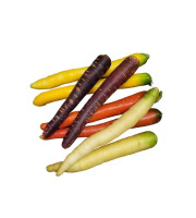 La Ferme d'Arnaud - Carottes de couleur (jaune, rouge, violette, blanche)