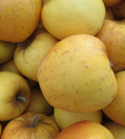 Les Jardins de Gérard - Pomme Opal Bio - 3 kg