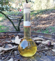 Vinaigres de la Carrière - Vinaigre de Cidre bio Vieilli en Fût de Chêne - 200 ml