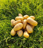La Brouette d'Alexis - Pommes de terre LAURETTE - 5 kgs