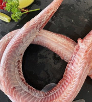 Notre poisson - Saumonette de roussette en lot de 3kg