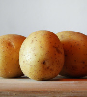 Le Châtaignier - Pommes De Terre Agatha - 2kg