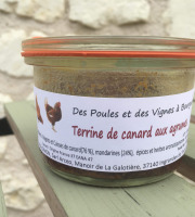 Des Poules et des Vignes à Bourgueil - Terrine De Canard Aux Agrumes