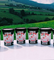 Les Glaces de la Vallée - Coffret Yaourt glacé à la fraise "la Vallée" 6x500ml