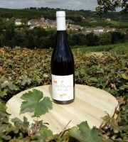 Sancerre Doudeau-Leger - Vent d'Ange - Vin de Pays du Val de Loire Rouge IGP 2020 - 1 Bouteille