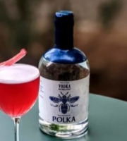 Erika Spirit - Vodka Polka - 3L