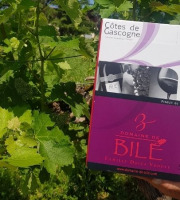 Domaine de Bilé - Fontaine à Vin BIB Rosé - Vin de France - 5 Litres