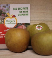 Le Châtaignier - Pommes Reinette Grise du Canada - 1kg