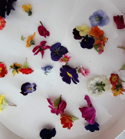 Rébecca les Jolies Fleurs - Micro fleurs comestibles