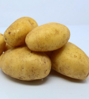La désirée d'Ide - Pomme de terre "Ditta" Bio 25kg