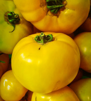Ferme Joos - Tomates Jaunes 1 Kg