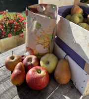 EARL Fruits du Maumont - Toutifruits - Lot pomme poire et cubi pomme 3L