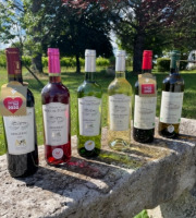 Vignobles Fabien Castaing - Lot Découverte des Vins de Bergerac