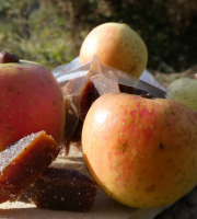 Terres EnVie - Pâtes de fruits à la Pomme Bio