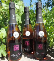 Domaine des Bourrats - Méthode Traditionnelle Rose de Noirs - 3 bouteilles