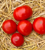 La Ferme de Goas Per - Tomate ancienne de Monthléry Bio - 1kg