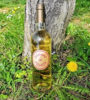 Domaine de Pilhoy - Vin Blanc AOC Bordeaux