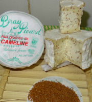 Fromagerie de la Chapelle Saint Jean - Bray Aux Graines De Cameline - 12 Pièces