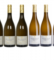 Domaine Tupinier Philippe - 3 Bouteilles Bourgogne Blanc Vieilles Vignes  2019 3 bouteilles Bourgogne Côte d'Auxerre Blanc 2017