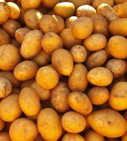 La Ferme de Milly - Anjou - Pommes de terre Bio - chair ferme - 1kg