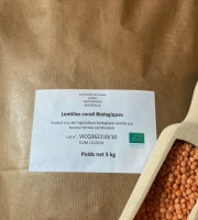 Les Graines de Louise - Lentilles Corail 5kg