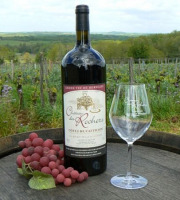 Château des Rochers - Magnum de vin rouge AOC 2005 x3