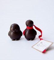 Mon jardin chocolaté - Pingouins Chocolat noir bio