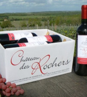 Château des Rochers - Vin rouge AOC Castillon-Côtes de Bordeaux 2016 x6