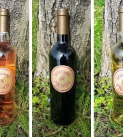 Domaine de Pilhoy - Offre 3 couleurs - Vin AOC Bordeaux x6