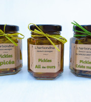 L'herbandine - Trio de Pickles Sauvages – Format Moyen