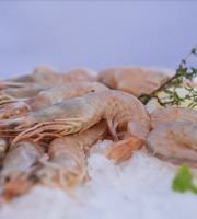Côté Fish - Mon poisson direct pêcheurs - Crevettes 500g