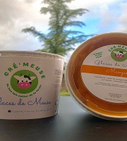 Glaces de Meuse - Sorbet Plein Fruit Mangue 360 grx 5