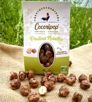 Cocoripop - Pralines noisettes