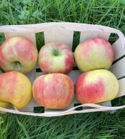 EARL Fruits du Maumont - Toutifruits - pomme dalilight - 1kg