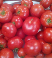 Gourmets de l'Ouest - Tomates de Saint-Malo