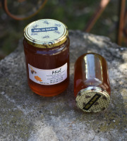 La Truite du Mézenc - Miel de Sapin - 500g