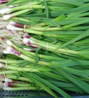 ChâteauFer - Aillet botte