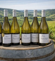 Domaine ROUX-GROS - Offre découverte vin Mâcon 2022 6x75cl