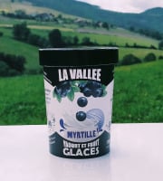 Les Glaces de la Vallée - Coffret Yaourt et fruits glacés à la myrtille "la Vallée" 12 pots de 500 ml