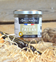 Terre de Gallie - Terrine de faisan au chou x 20